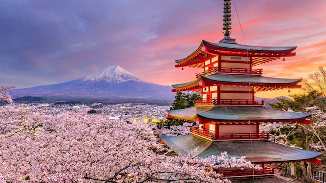 Japan Cherry Blossom Tour